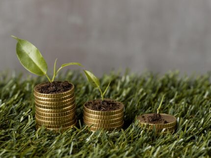 high-angle-three-stacks-coins-grass-with-plants-dirt